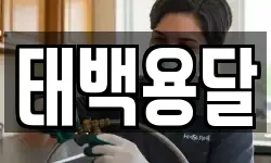 태백용달