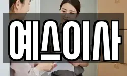 예스이사