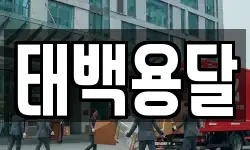 태백용달