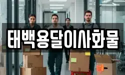 태백용달이사화물
