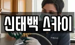 신태백 스카이