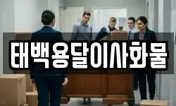 태백용달이사화물