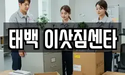 태백 이삿짐센타