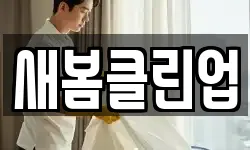 새봄클린업