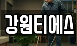강원티에스