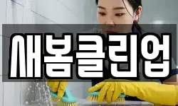 새봄클린업