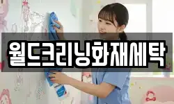 월드크리닝화재세탁