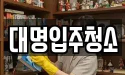 대명입주청소