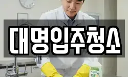대명입주청소