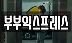 부부익스프레스
