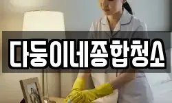 다둥이네종합청소