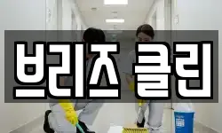 브리즈 클린