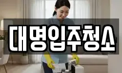 대명입주청소
