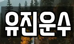 강원 홍천군 영귀미면 이사,용달이사,포장이사,원룸이사,보관이사