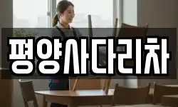평양사다리차