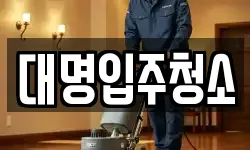 대명입주청소