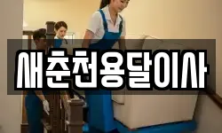 새춘천용달이사