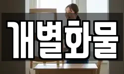 개별화물