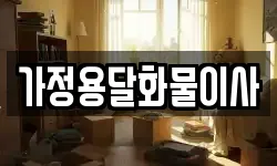 가정용달화물이사