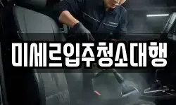 미세르입주청소대행