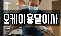 오케이용달이사