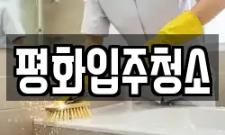 평화입주청소