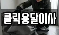 클릭용달이사