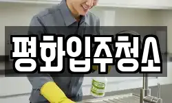 평화입주청소