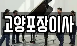 고양포장이사