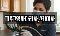 파주고양사다리차,스카이차