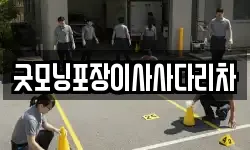 굿모닝포장이사사다리차