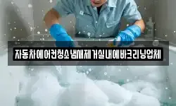 자동차에어컨청소냄새제거실내에바크리닝업체