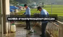 청소대행업체,바닥청소사무실학원청소공장청소식당매장준공청소