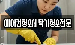 경기도 고양시 덕양구 벽제동 청소,입주청소,사무실청소,에어컨청소