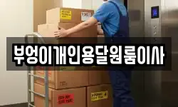 부엉이개인용달원룸이사