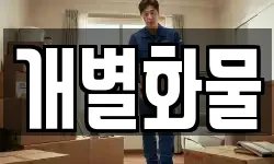 개별화물
