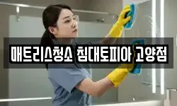 매트리스청소 침대토피아 고양점