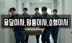 용달이사,원룸이사,소형이사