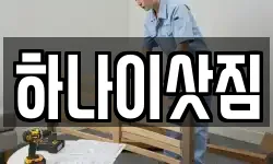 하나이삿짐