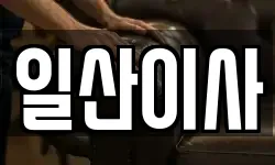 일산이사