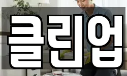 클린업