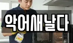 악어새날다