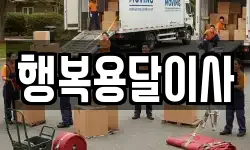 행복용달이사