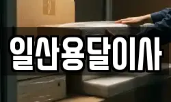 일산용달이사