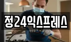 경기도 고양시 일산동구 마두동 이사,용달이사,포장이사,원룸이사,보관이사