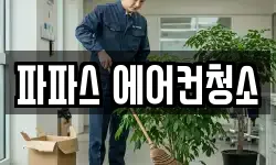 파파스 에어컨청소