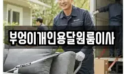 부엉이개인용달원룸이사