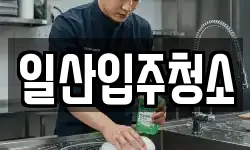 일산입주청소