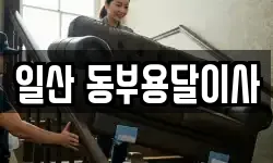 일산 동부용달이사