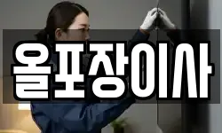 올포장이사